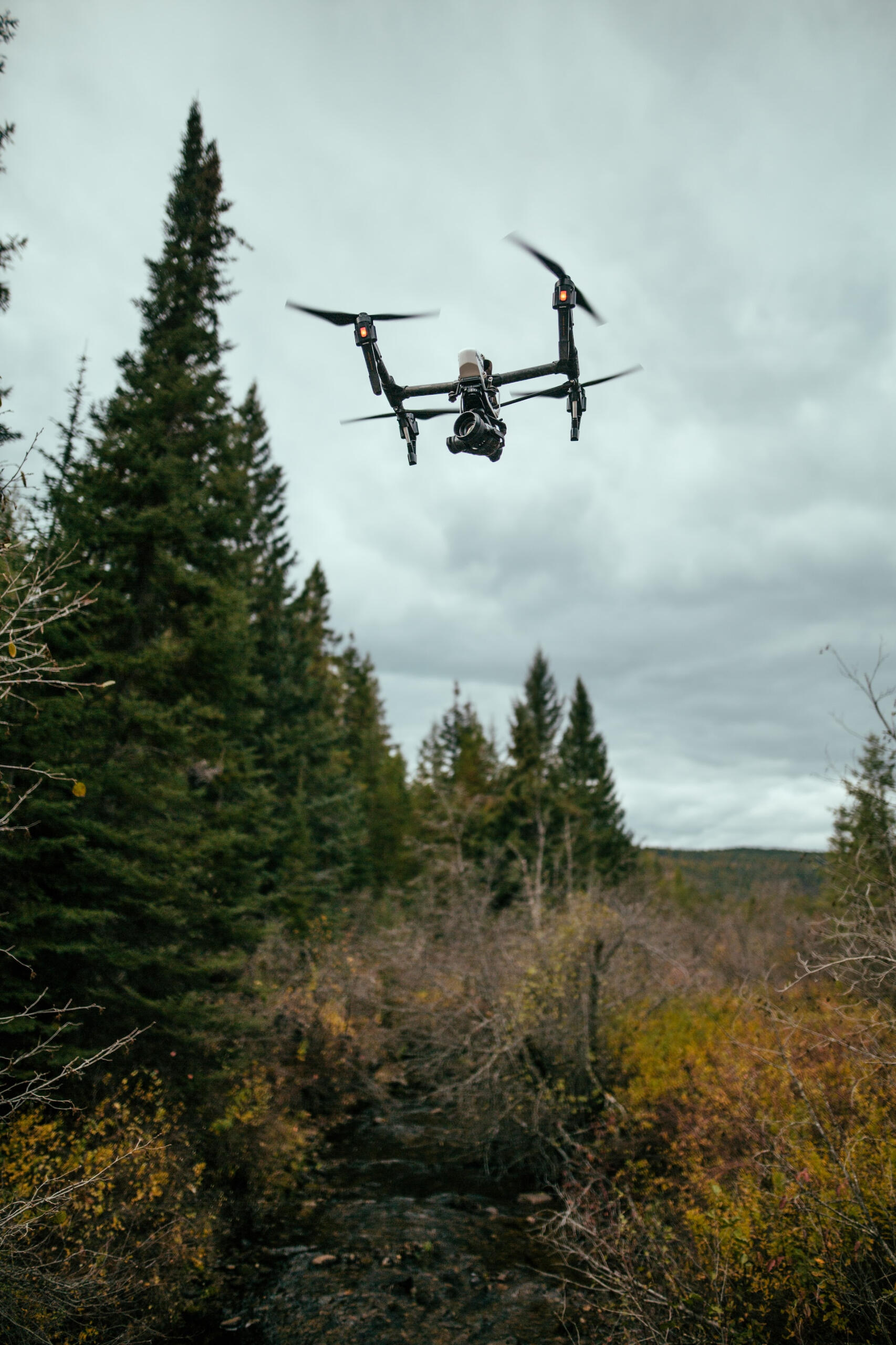 Drone flying over a forest
