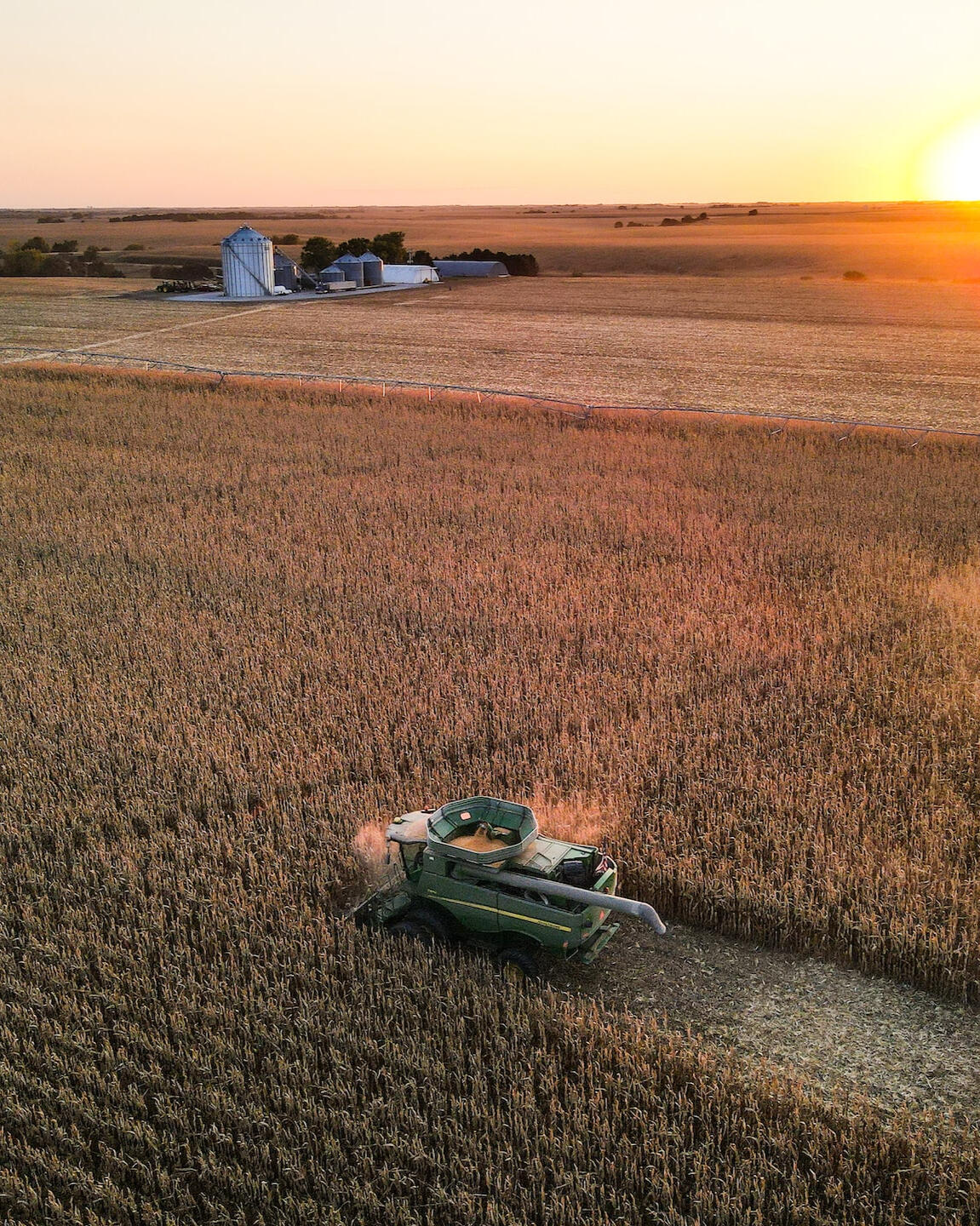 Harvesting corn